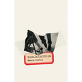 Voices in the Evening - Paperback