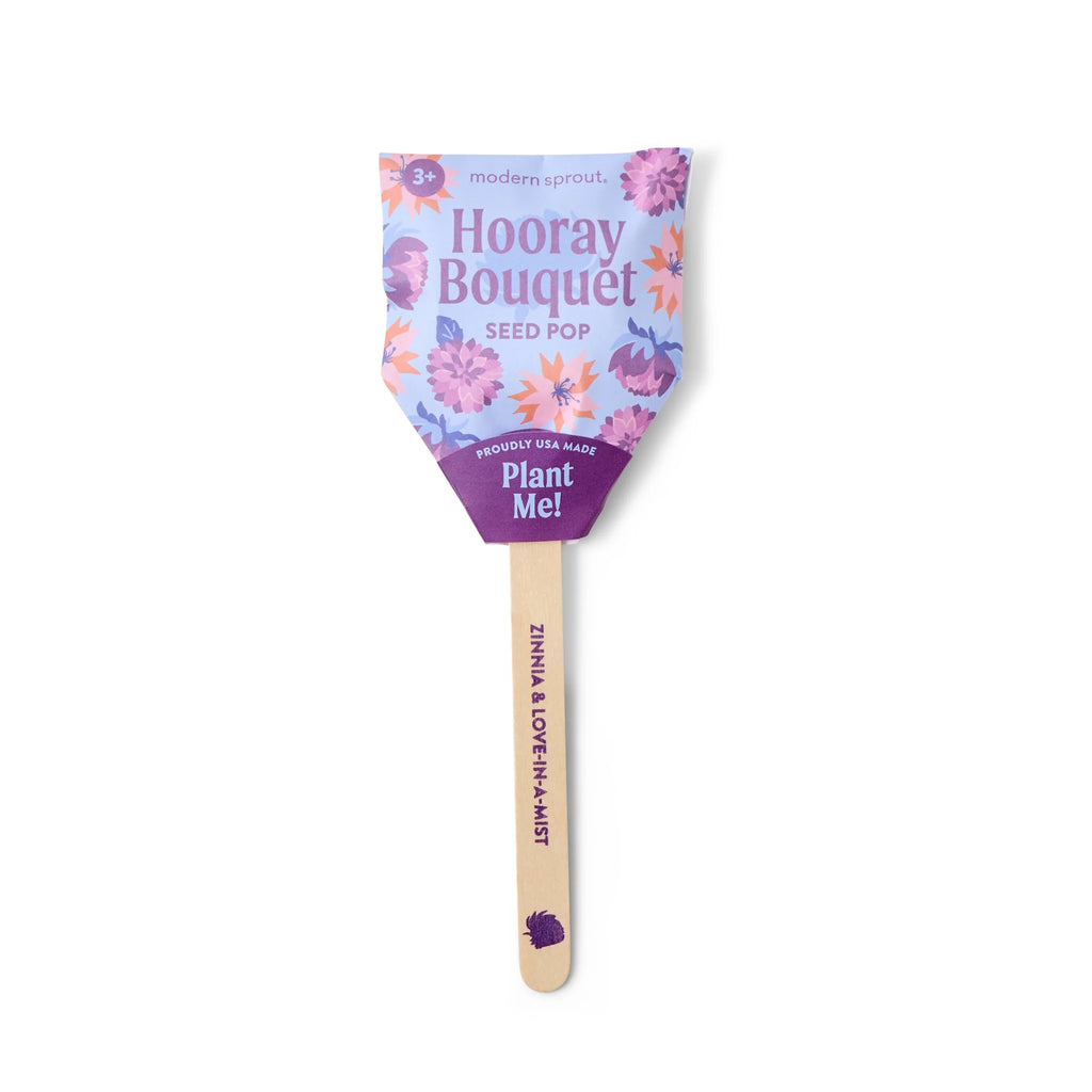 Plantable Wildflower Seed Pop Gift | Modern Sprout
