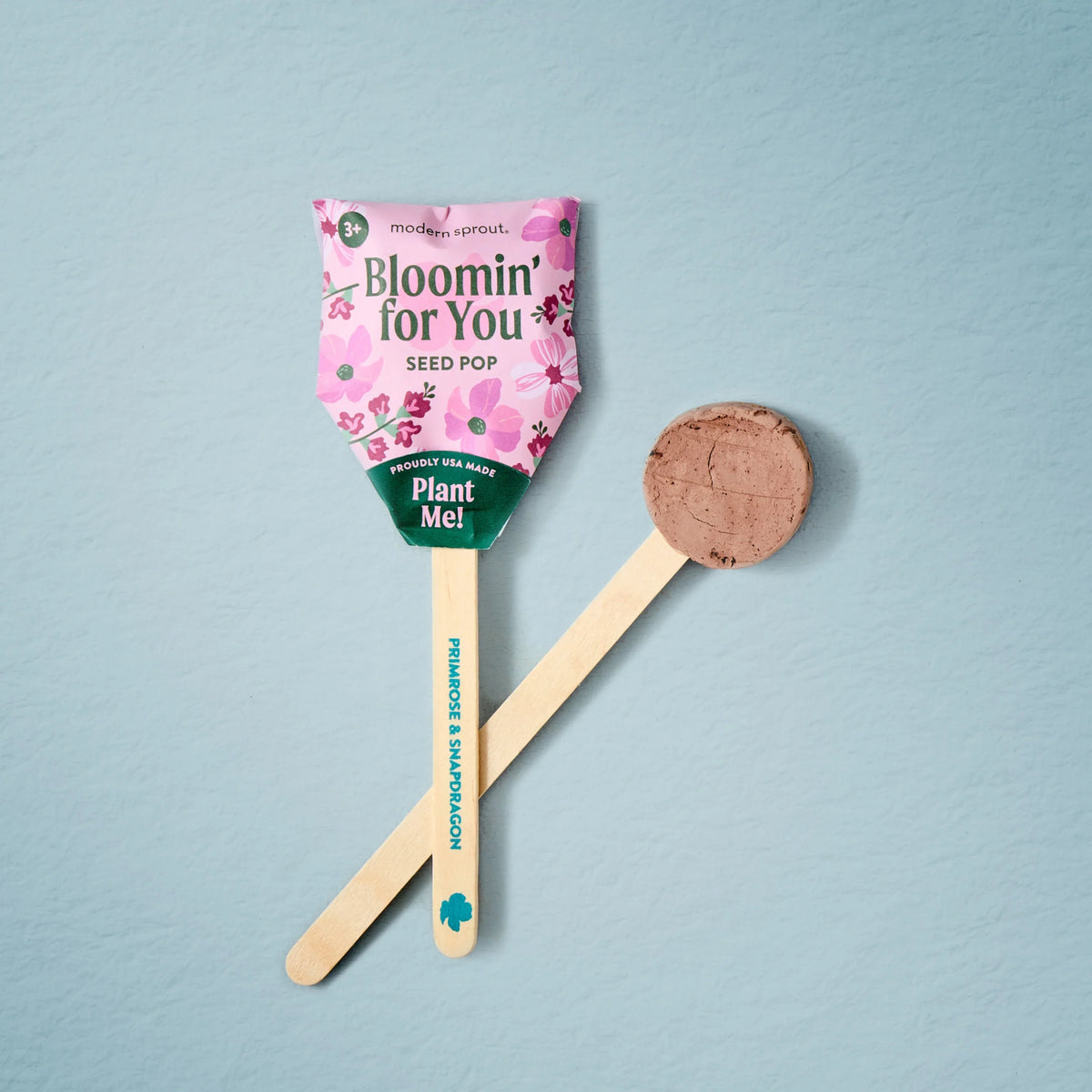 Plantable Wildflower Seed Pop Gift | Modern Sprout