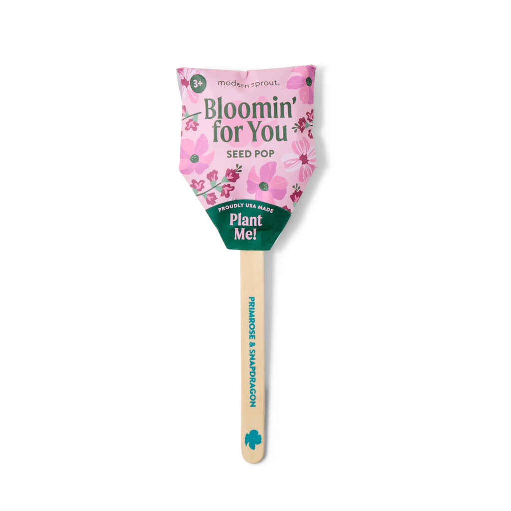 Plantable Wildflower Seed Pop Gift | Modern Sprout