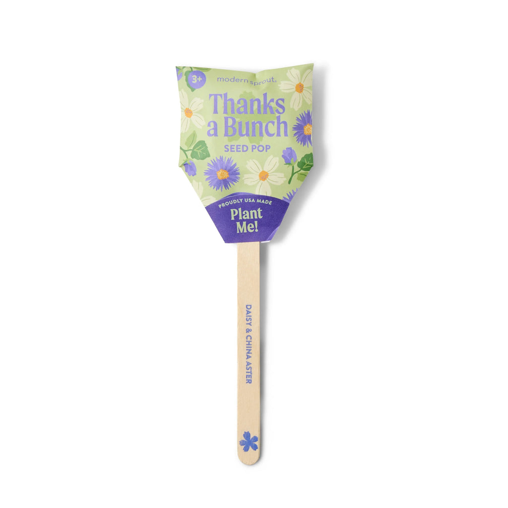 Plantable Wildflower Seed Pop Gift | Modern Sprout