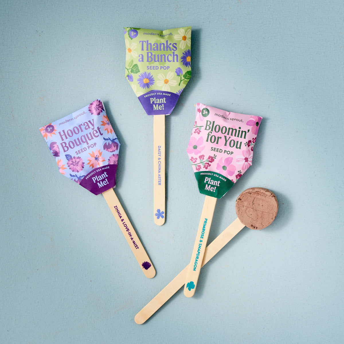 Plantable Wildflower Seed Pop Gift | Modern Sprout