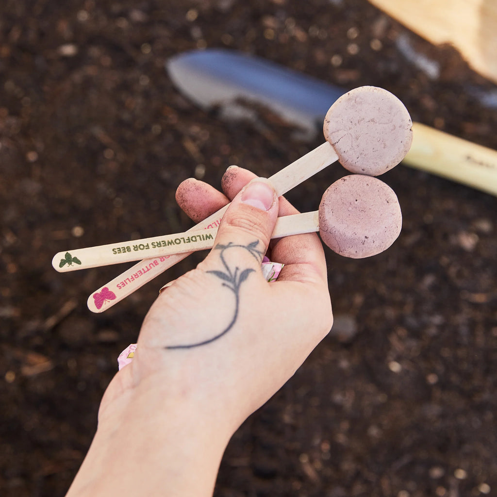 Plantable Wildflower Seed Pop Gift | Modern Sprout