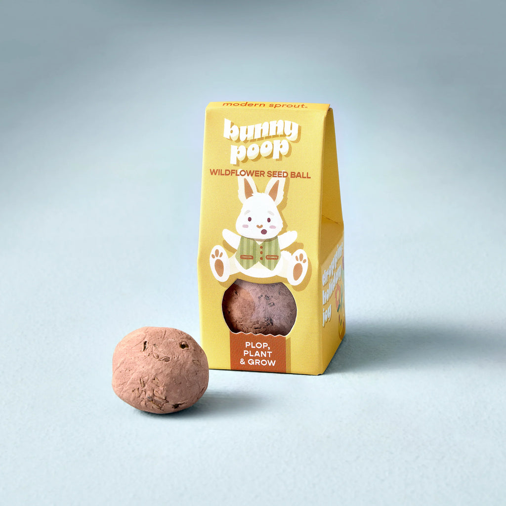 Easter Wildflower Plop Seed Ball | Modern Sprout