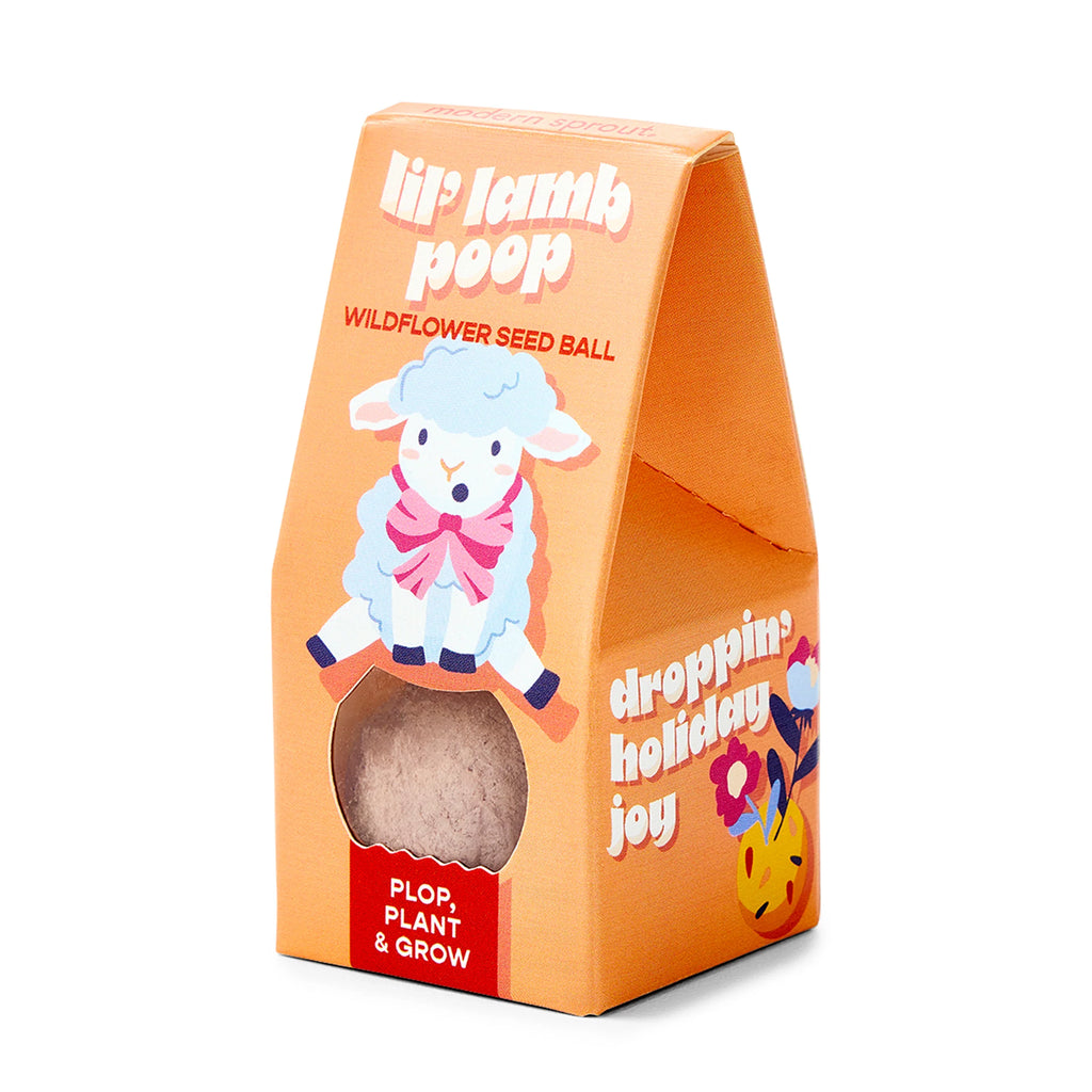 Easter Wildflower Plop Seed Ball | Modern Sprout