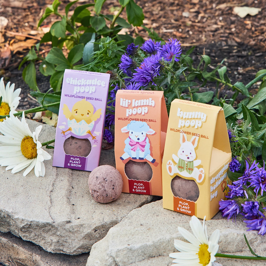 Easter Wildflower Plop Seed Ball | Modern Sprout