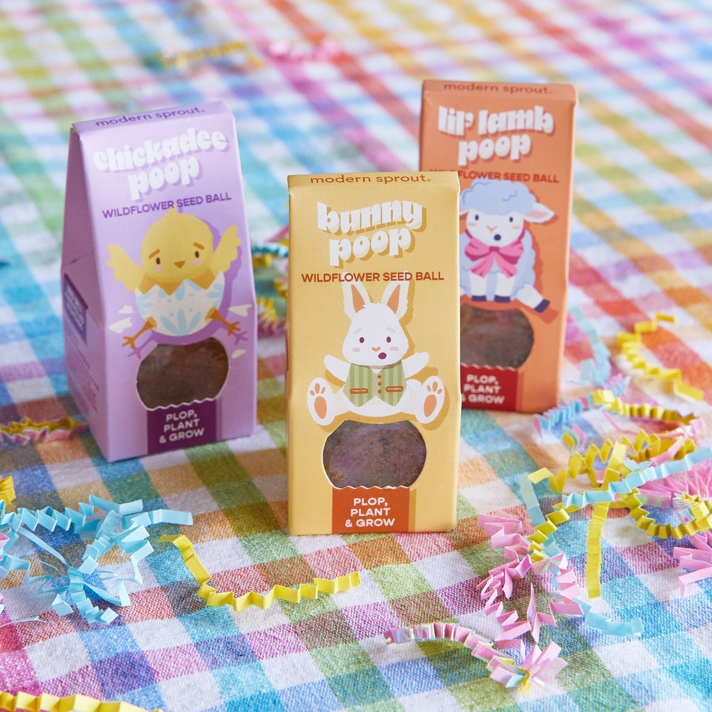 Easter Wildflower Plop Seed Ball | Modern Sprout