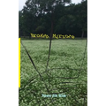 Broken Mirrors - Paperback