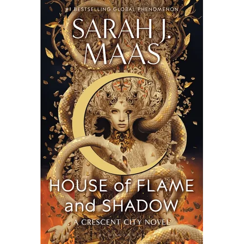 House of Flame and Shadow - Hardcover