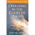 Operating in the Court of Angels - Paperback