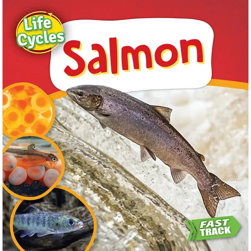 Salmon - Paperback