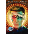 Tribute: David Bowie - Hardcover