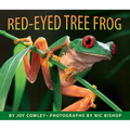 Red-Eyed Tree Frog - Hardcover