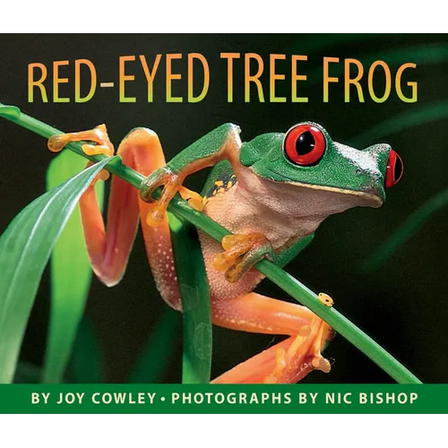 Red-Eyed Tree Frog - Hardcover