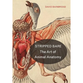 Stripped Bare: The Art of Animal Anatomy - Hardcover