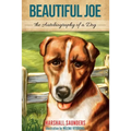 Beautiful Joe - Paperback