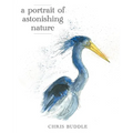 A Portrait of Astonishing Nature - Paperback
