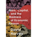 Marx, Capital, and the Madness of Economic Reason - Paperback