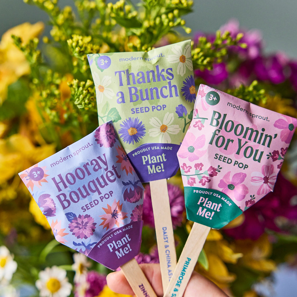 Plantable Wildflower Seed Pop Gift | Modern Sprout