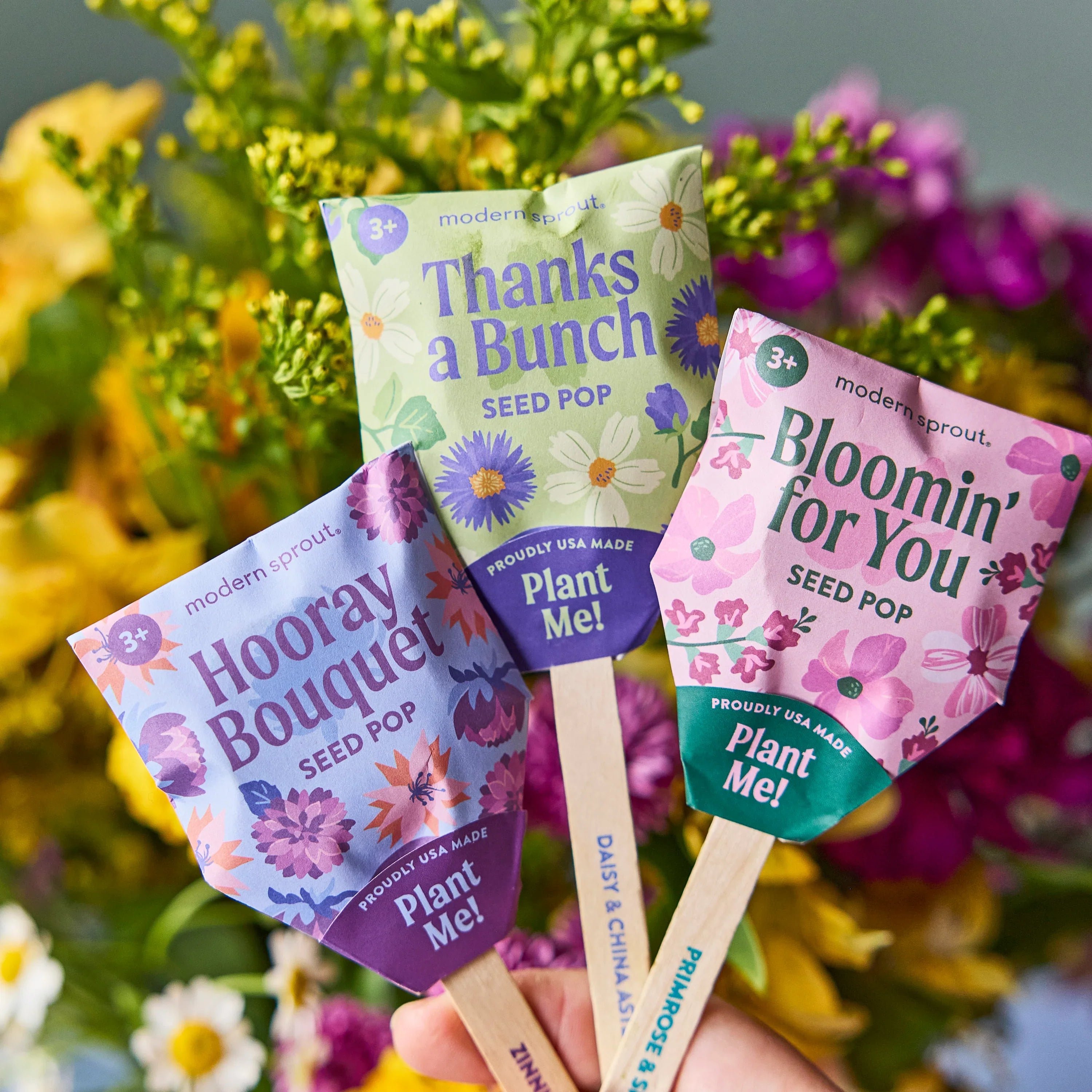 Plantable Wildflower Seed Pop Gift | Modern Sprout