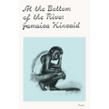 At the Bottom of the River - Paperback
