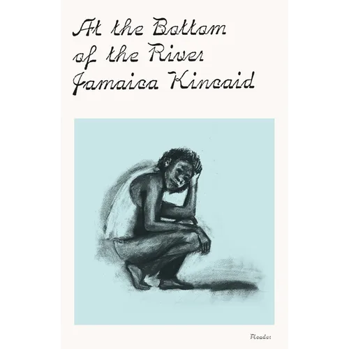 At the Bottom of the River - Paperback