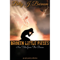 Broken Little Pieces New Tales from The Baron - Paperback