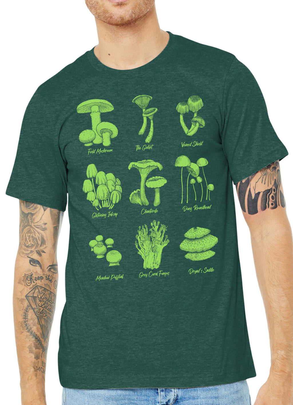 Mushroom Specimens