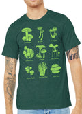 Mushroom Specimens