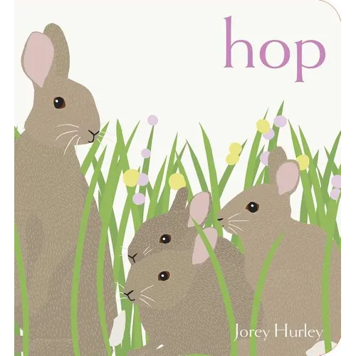 Hop - Board Book