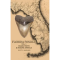 Florida Fossils: Shark Teeth & Marine Animals - Paperback