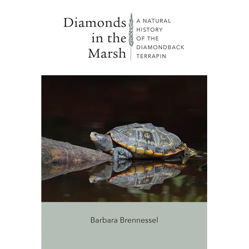 Diamonds in the Marsh: A Natural History of the Diamondback Terrapin - Paperback
