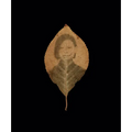 Binh Danh: The Enigma of Belonging - Hardcover