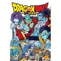 Dragon Ball Super, Vol. 17: God of Destruction Power - Paperback