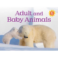 Adult and Baby Animals: English Edition - Paperback