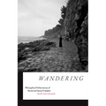 Wandering: Philosophical Performances of Racial and Sexual Freedom - Paperback
