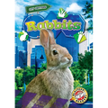 Rabbits - Library Binding