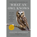 What an Owl Knows: The New Science of the World's Most Enigmatic Birds - Paperback