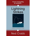 Lightning Strikes - Paperback