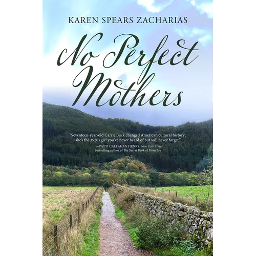 No Perfect Mothers - Hardcover