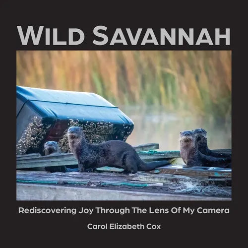 Wild Savannah: Rediscovering Joy Through The Lens of My Camera - Paperback