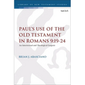 Paul's Use of the Old Testament in Romans 9:19-24: An Intertextual and Theological Exegesis - Paperback
