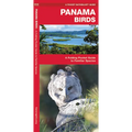 Panama Birds: A Folding Pocket Guide to Familiar Species - Paperback