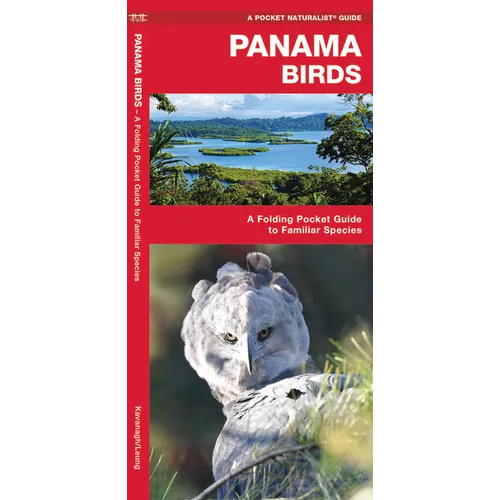 Panama Birds: A Folding Pocket Guide to Familiar Species - Paperback