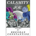 Calamity Joe - Paperback