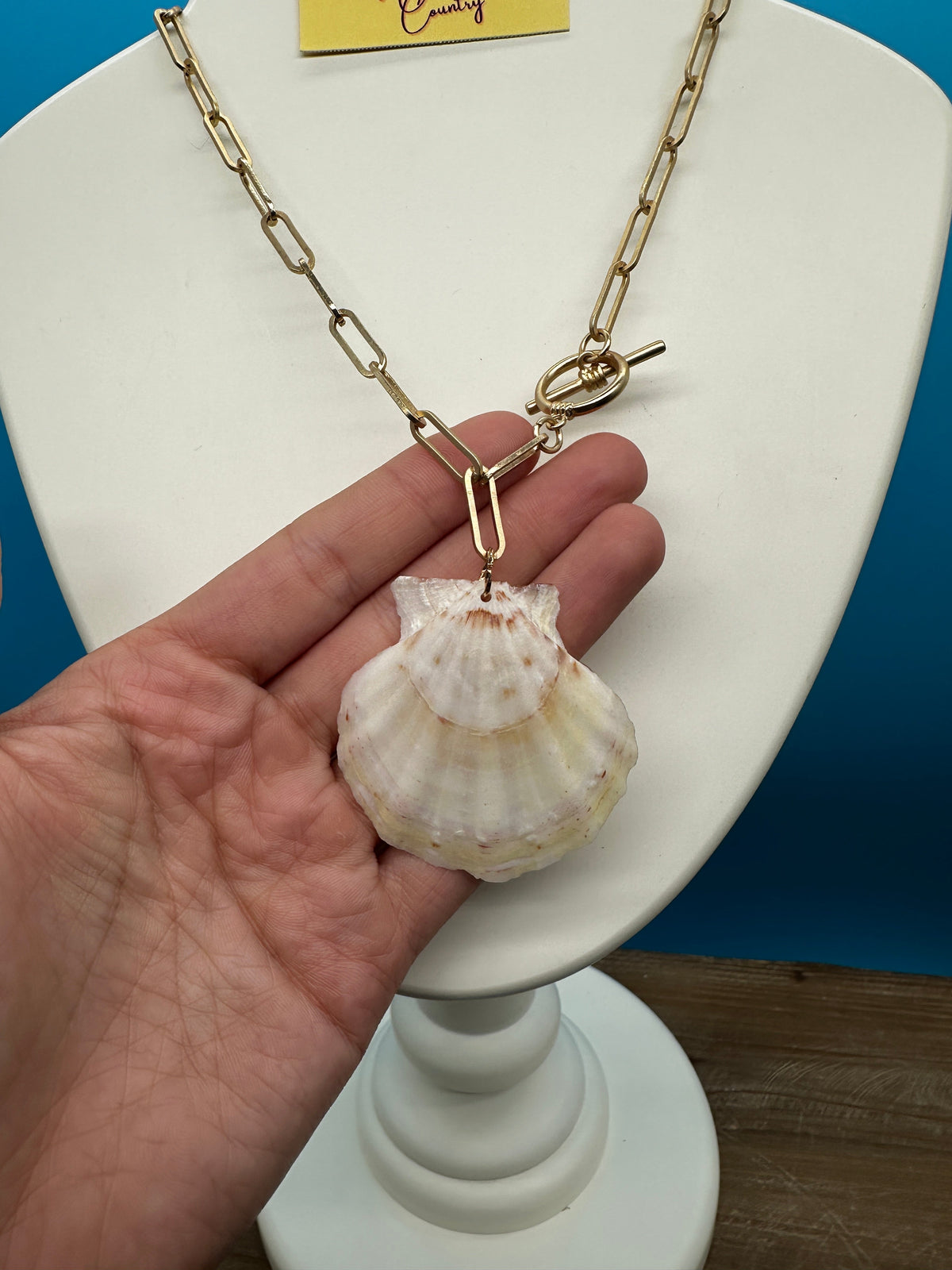 White Scallop on Paperclip Chain
