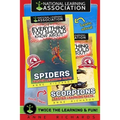Everything You Should Know About: Scorpions and Spiders - Paperback