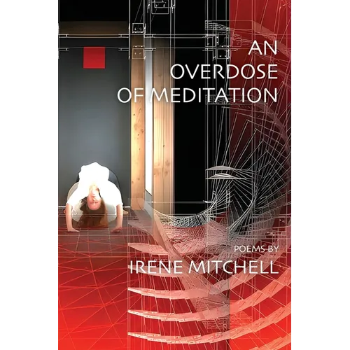An Overdose of Meditation - Paperback