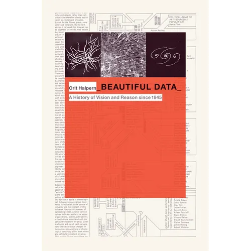 Beautiful Data: A History of Vision and Reason Since 1945 - Paperback