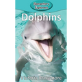 Dolphins - Hardcover